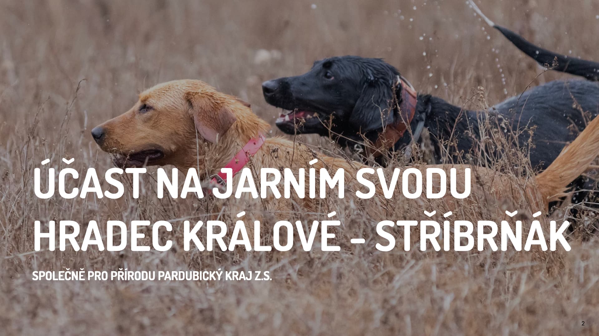Jarní svod myslivců – Hradec Králové, propagace záchrany srnčat