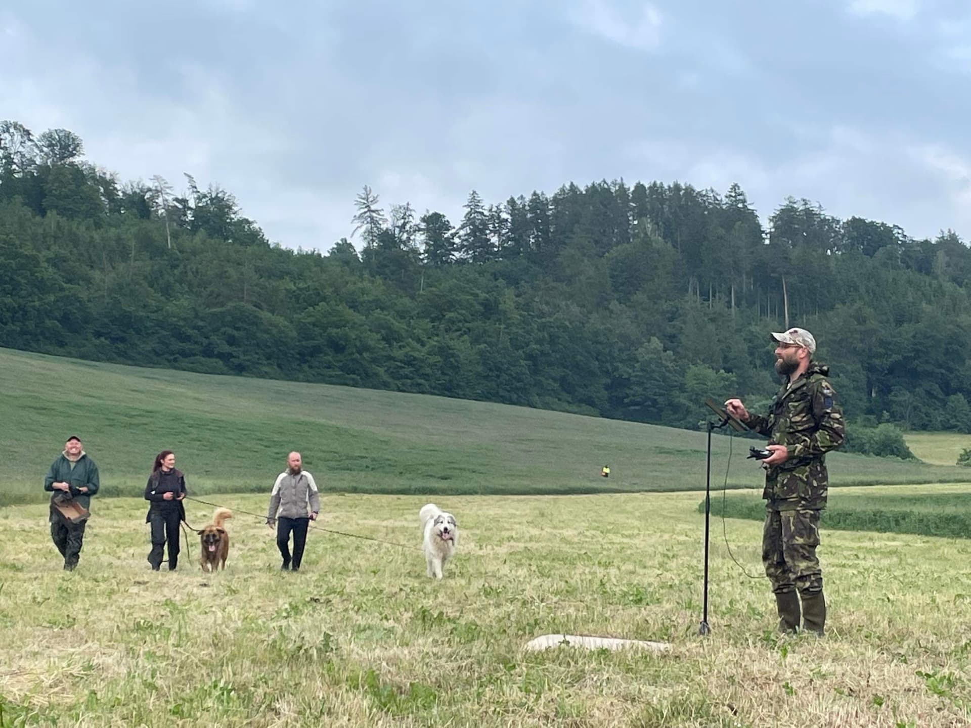Pohled na louku při záchranné akci