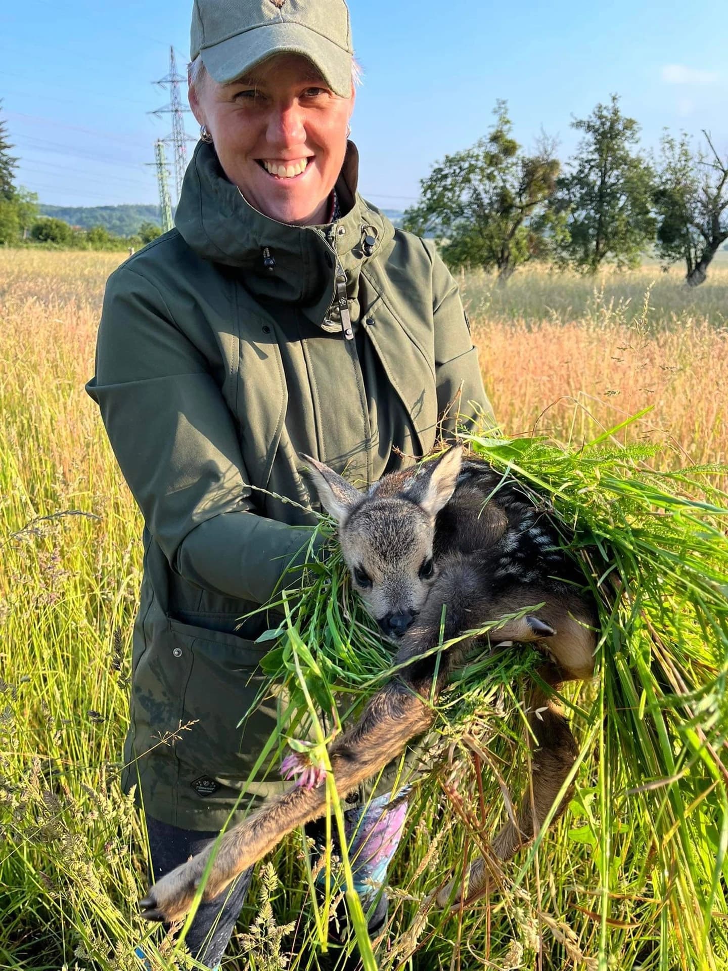 Srnče v přepravním boxu