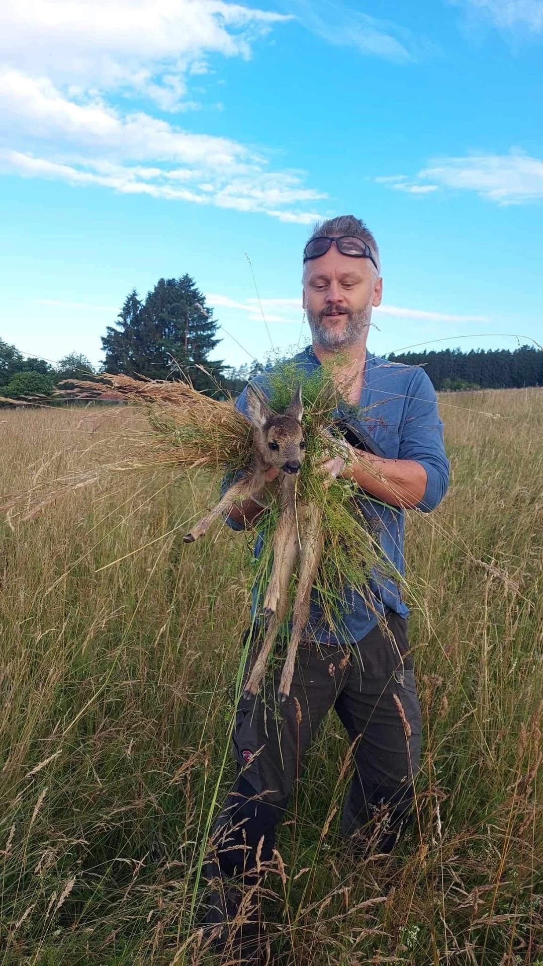 Záchrana srnčete před sekačkou