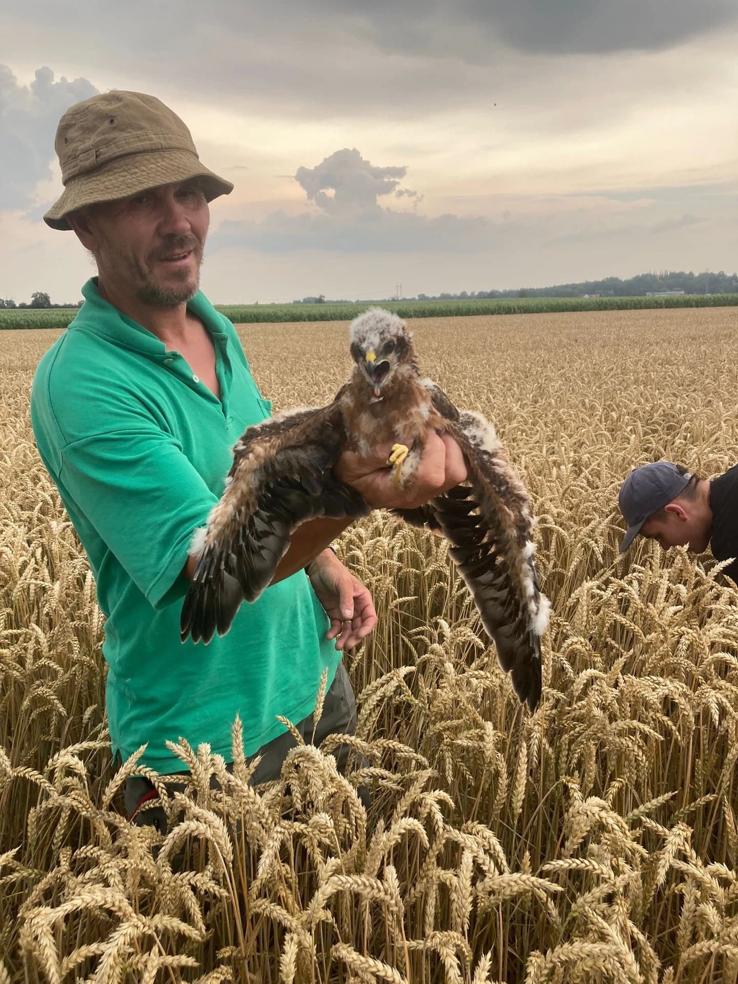 Záchranná akce srnčete