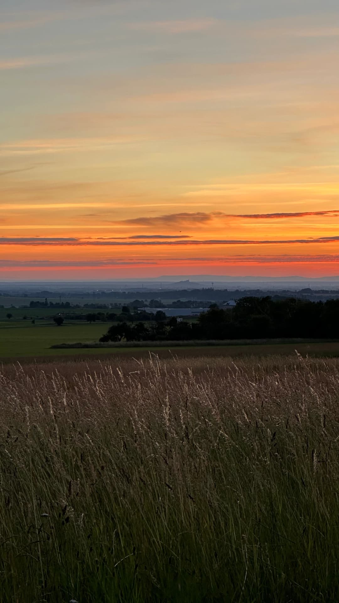 Záchrana srnčete v terénu