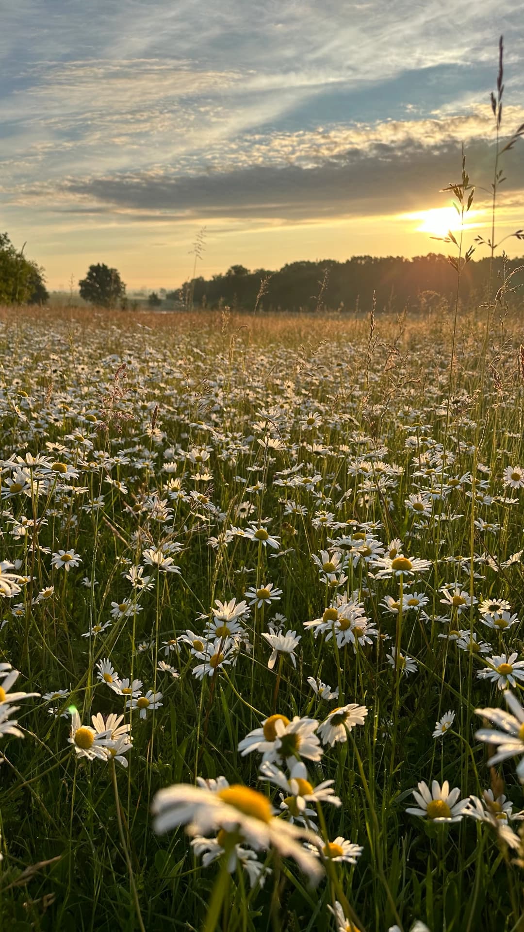 Dobrovolníci při záchranné akci