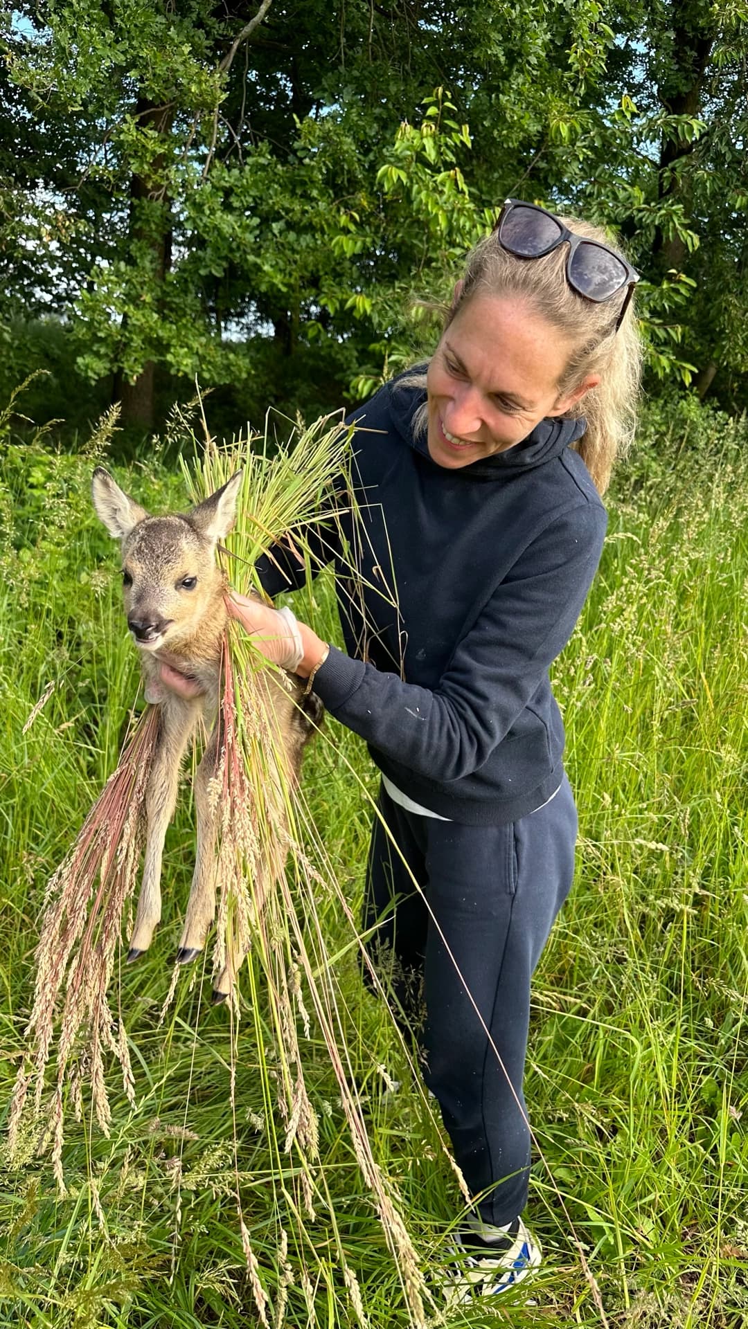 Záchranná akce srnčete