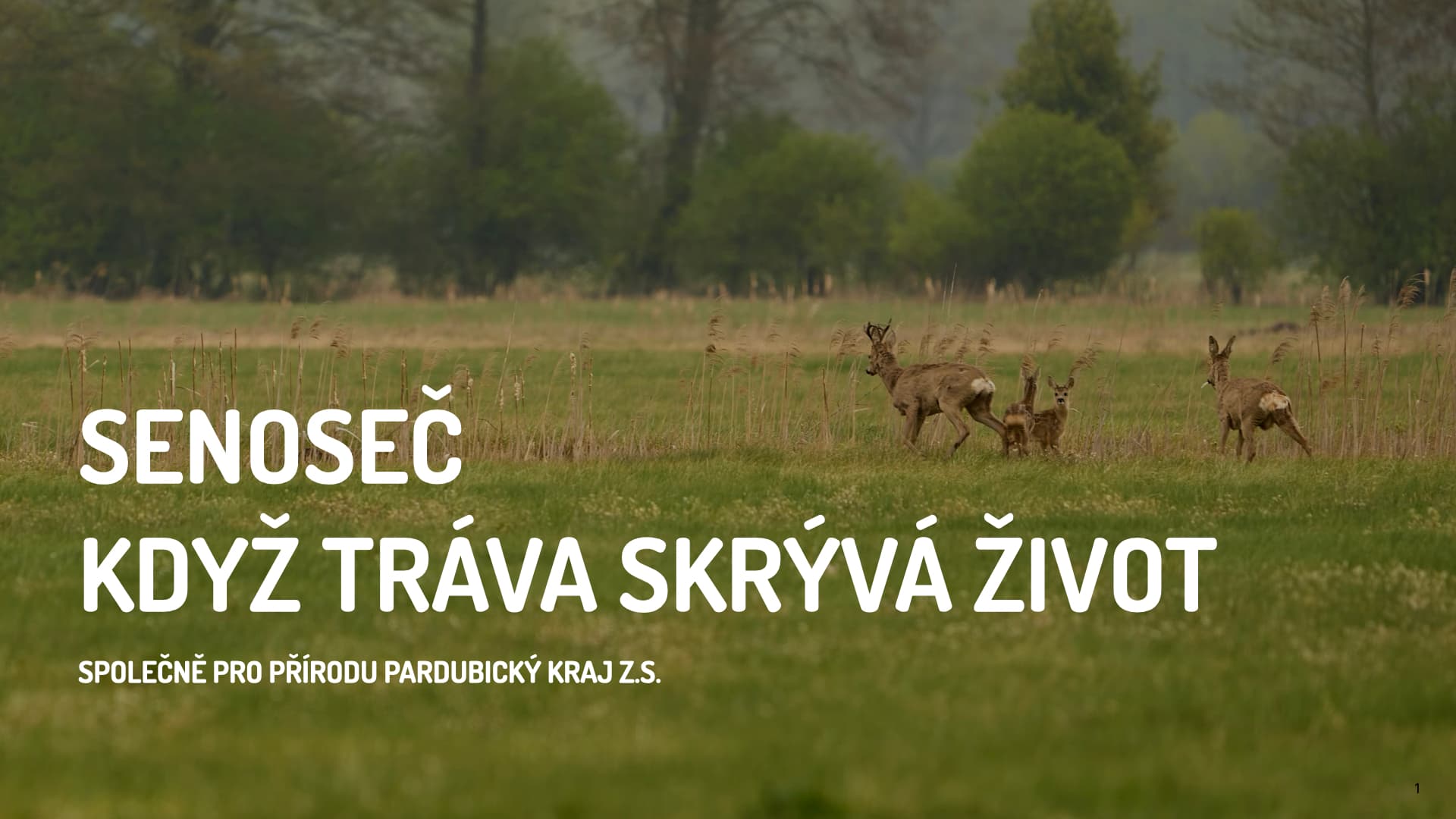 Beseda o záchraně srnčat – Gymnázium Dr. Emila Holuba, Holice